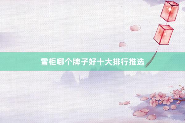 雪柜哪个牌子好十大排行推选