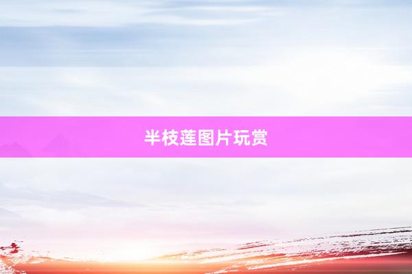 半枝莲图片玩赏